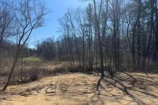 1079 Arlington St, Middleville, MI 49333 - Photo 9