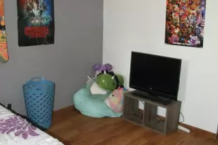 1029 Azaleamum Dr, Three Rivers, MI 49093 - Photo 13