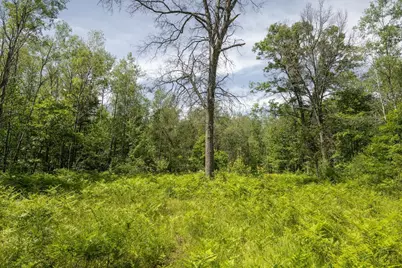 00 V/L 13 Mile Rd. #Par A, Bitely, MI 49309 - Photo 5