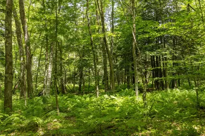 00 V/L 13 Mile Road #Par E, Bitely, MI 49309 - Photo 3
