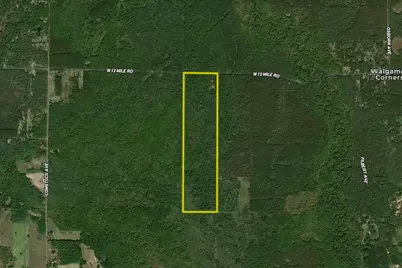 00 V/L 13 Mile Road #Par E, Bitely, MI 49309 - Photo 15