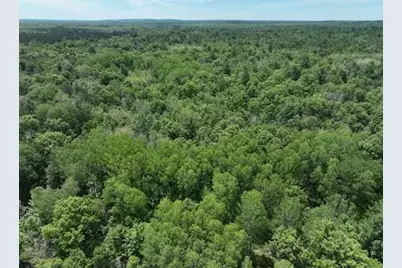 0 V/L W 13 Mile Rd. #Par C, Bitely, MI 49309 - Photo 9