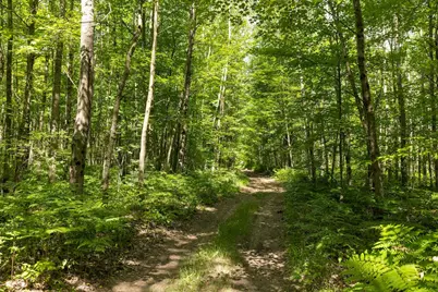 0 V/L W 13 Mile Rd. #Par C, Bitely, MI 49309 - Photo 5