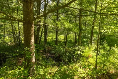 0 V/L W 13 Mile Rd. #Par C, Bitely, MI 49309 - Photo 7