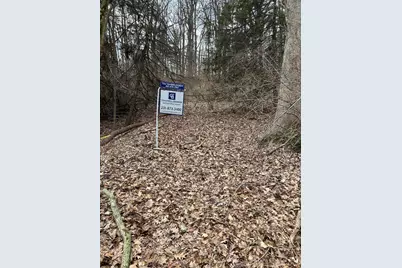 V/L Smugglers Pass Lot 15, Pentwater, MI 49449 - Photo 3