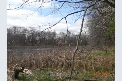 640 S Oak Avenue, White Cloud, MI 49349 - Photo 43