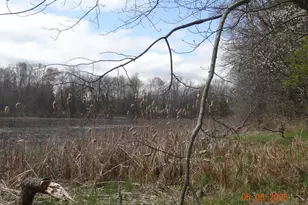 640 S Oak Ave, White Cloud, MI 49349 - Photo 43