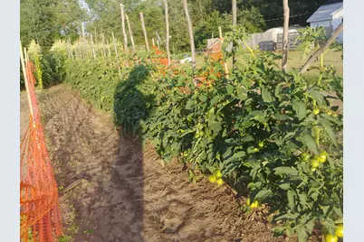 640 S Oak Avenue, White Cloud, MI 49349 - Photo 47