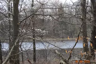 640 S Oak Ave, White Cloud, MI 49349 - Photo 41