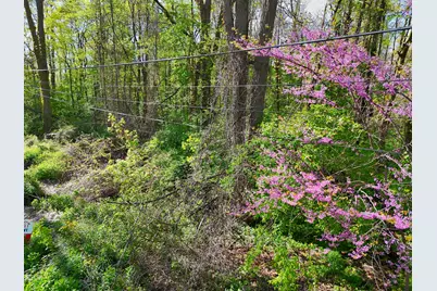 Vl Ellen Road, Dowagiac, MI 49047 - Photo 3