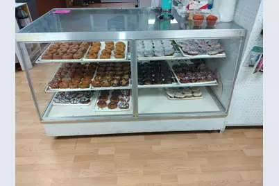 16421 S Star Lake Drive, Baldwin, MI 49304 - Photo 11