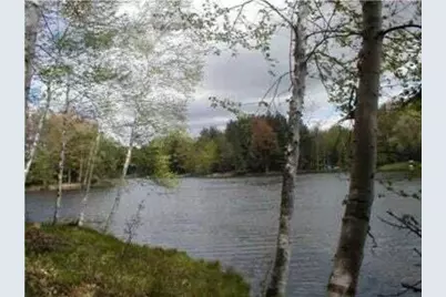 Vl Lot 811 Miramichi Drive, Evart, MI 49631 - Photo 1