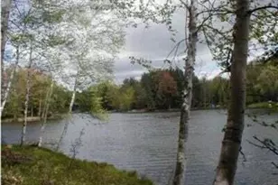 Vl Lot 811 Miramichi Dr, Evart, MI 49631 - Photo 1