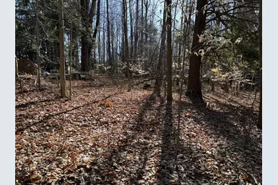 Vl Lot 811 Miramichi Drive, Evart, MI 49631 - Photo 3