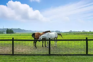 12185 Irish Rd, Otisville, MI 48463 - Photo 37