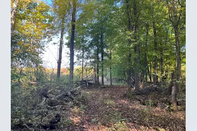 W St Joseph Street, Lawrence, MI 49064 - Photo 3