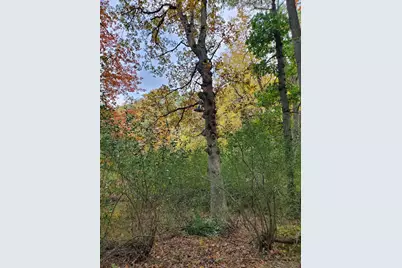 Vl N Shore Drive, Delton, MI 49046 - Photo 9