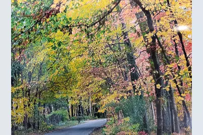 Vl N Shore Drive, Delton, MI 49046 - Photo 7