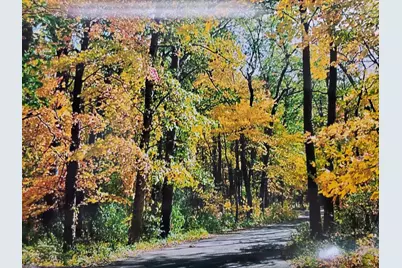 Vl N Shore Drive, Delton, MI 49046 - Photo 1