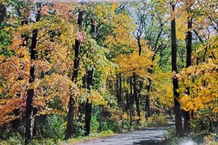 Vl N Shore Dr, Delton, MI 49046 - Photo 1