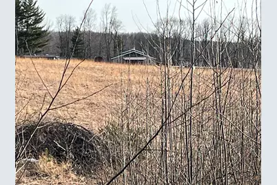 264 S 152nd Avenue #- 40 Acres & Cabin, Shelby, MI 49455 - Photo 13