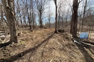 B 1 111th Ave, South Haven, MI 49090 - Photo 1