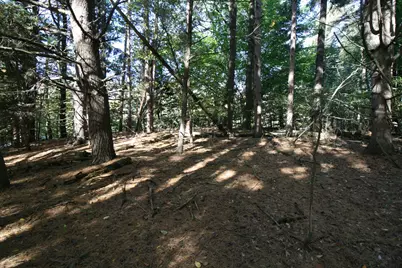 B.1 111th Avenue, South Haven, MI 49090 - Photo 11