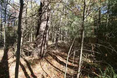 A.3 70th Street & 111th Avenue, South Haven, MI 49090 - Photo 7