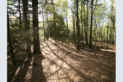 A.3 70th Street & 111th Avenue, South Haven, MI 49090 - Photo 19