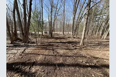 D.2 70th Street, South Haven, MI 49090 - Photo 5