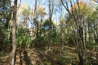 F 70th Street, South Haven, MI 49090 - Photo 5