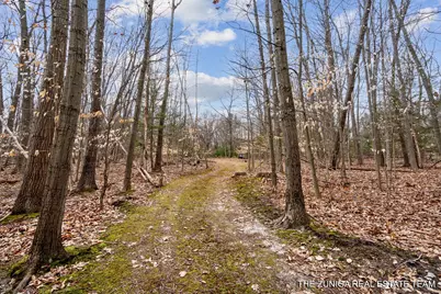 Parcel A Nestrom Road, Whitehall, MI 49461 - Photo 13