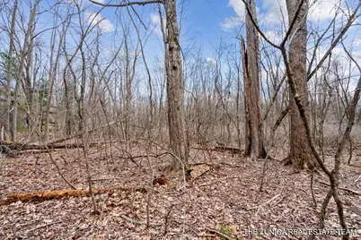 Parcel A Nestrom Road, Whitehall, MI 49461 - Photo 25