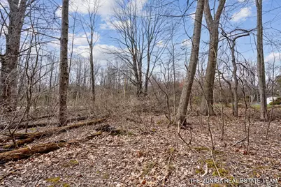 Parcel A Nestrom Road, Whitehall, MI 49461 - Photo 29