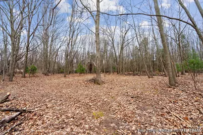 Parcel A Nestrom Road, Whitehall, MI 49461 - Photo 23
