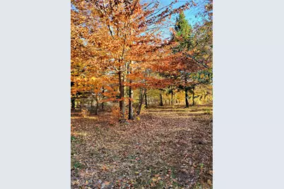 Smith Road #Lot 40, Onekama, MI 49675 - Photo 7