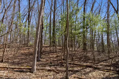 14714 Myers Lake Parcel A Road NE, Cedar Springs, MI 49319 - Photo 17