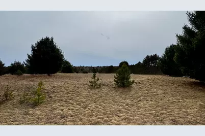 Lot #22 Wedgewood Court, Cadillac, MI 49601 - Photo 3