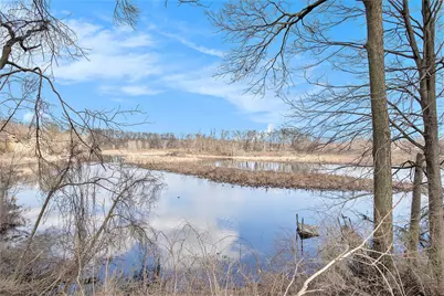 Azaleamum Vl Lot 48 Drive, Three Rivers, MI 49093 - Photo 7