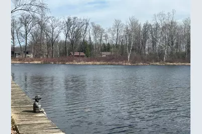 5383 Birch Island Drive #101, Barryton, MI 49305 - Photo 3