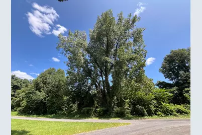 Vl W Oak Drive, Decatur, MI 49045 - Photo 3