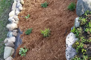 6127 Brooklyn Rd, Jackson, MI 49201 - Photo 67