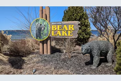 0 Tenth Street, Bear Lake, MI 49614 - Photo 9