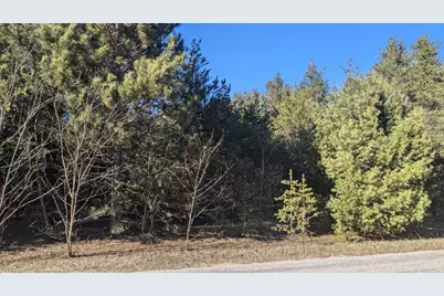 0 Tenth Street, Bear Lake, MI 49614 - Photo 1