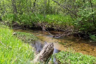 18090 Read Road, Copemish, MI 49625 - Photo 9