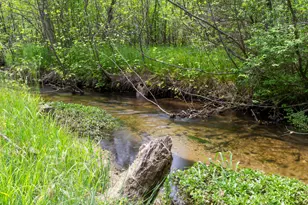 18090 Read Rd, Copemish, MI 49625 - Photo 9