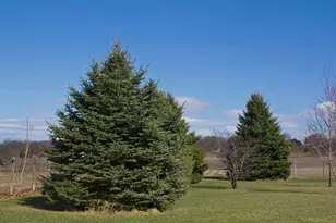 25544 Gage St, Dowagiac, MI 49047 - Photo 27