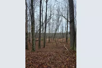 0 V/L Hunters Way, White Cloud, MI 49349 - Photo 9