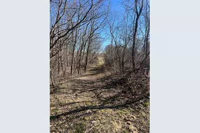 Parcel A W County Line Road, Greenville, MI 48838 - Photo 1