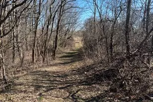 Parcel A W County Line Rd, Greenville, MI 48838 - Photo 1
